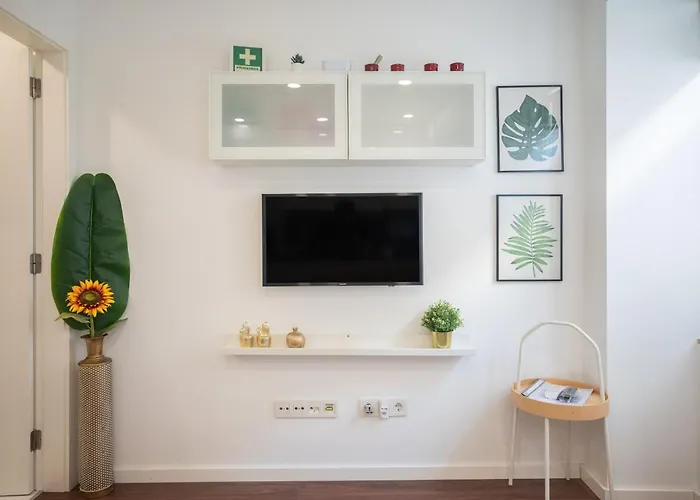 Apartment Luxury W Ac Downtown And Metro *