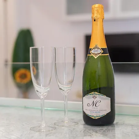 Apartment Luxury W Ac Downtown And Metro